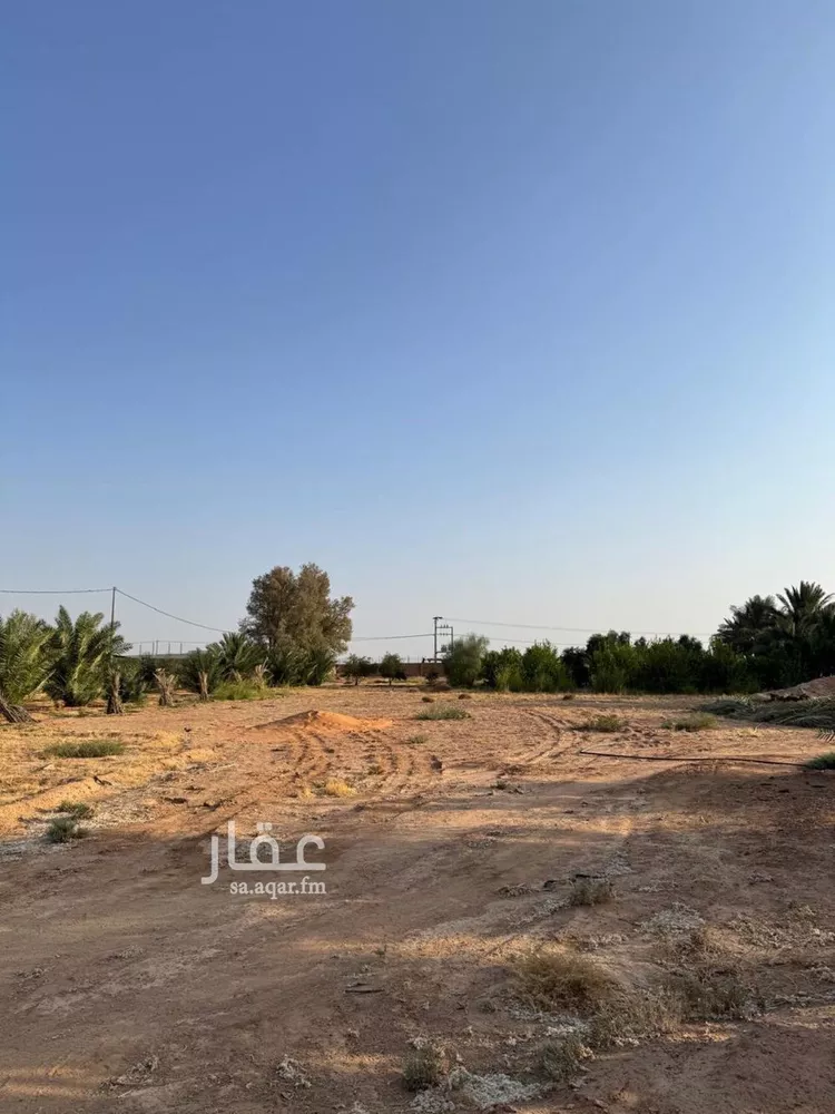 مزرعة للبيع في حي حفيرة السبعة الغربي, مدينة الشملى, منطقة حائل صورة 5