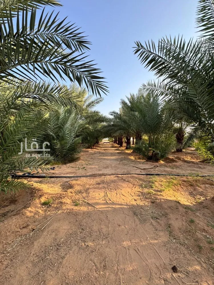 مزرعة للبيع في حي حفيرة السبعة الغربي, مدينة الشملى, منطقة حائل صورة 3