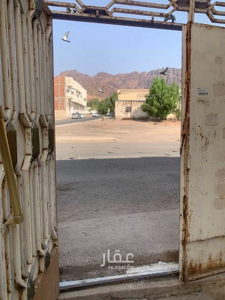 عمارة للبيع في شارع ابن الصقر البغدادي, حي التلعة, مدينة المدينه المنوره, منطقة المدينة المنورة صورة 5