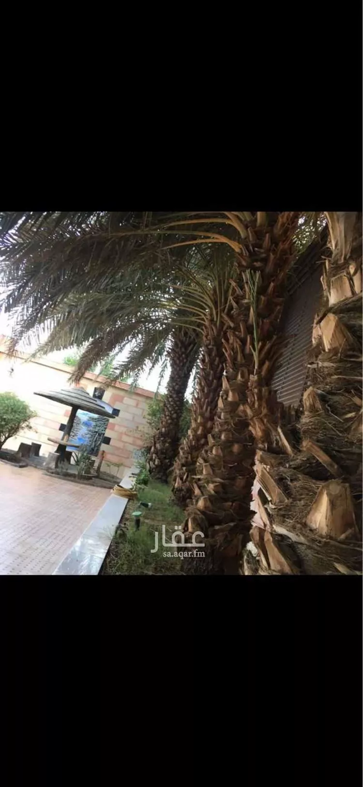 فيلا للإيجار في شارع عبدالمحسن بن عبدالعزيز, حي الروابي, مدينة المدينه المنوره, منطقة المدينة المنورة
