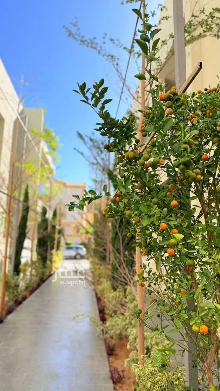 شقة للإيجار في شارع عبدالمطلب بن هاشم, حي السداد, مدينة الطائف, منطقة مكة المكرمة صورة 5