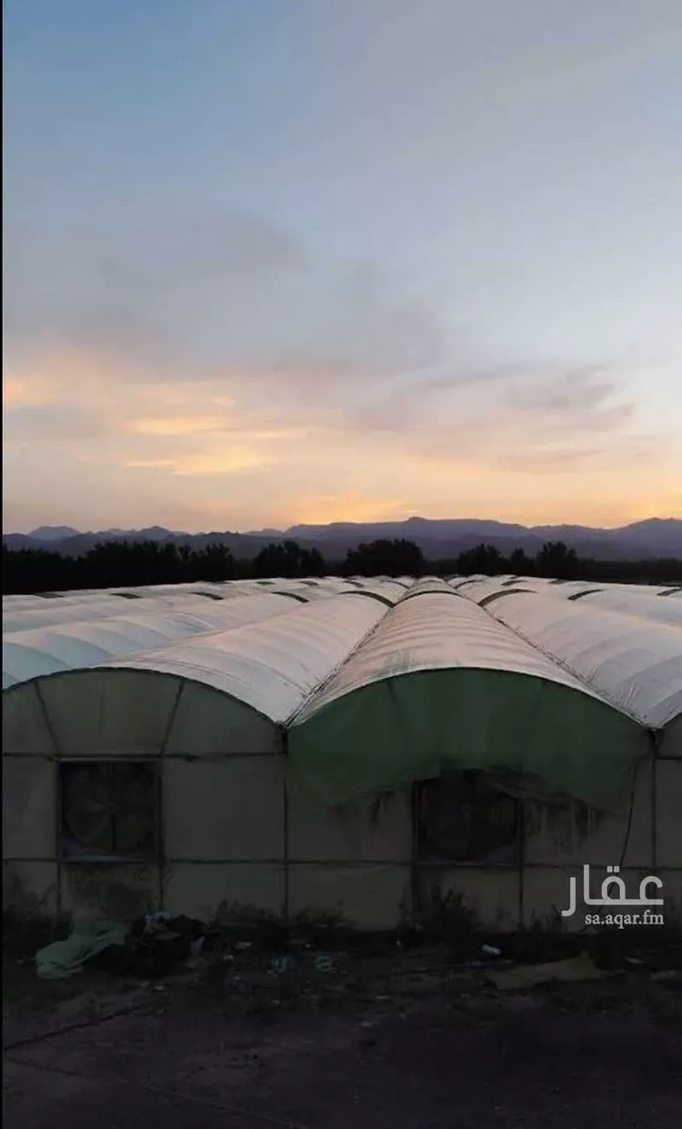 مزرعة للبيع في شارع ضواحي 270, حي المليليح, مدينة المدينه المنوره, منطقة المدينة المنورة