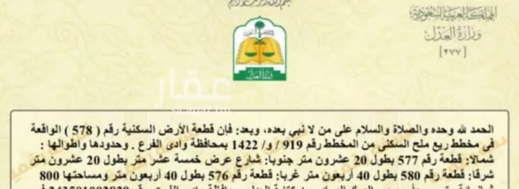 أرض للبيع في حي مخطط وادي  الفرع, مدينة وادي  الفرع, منطقة المدينة المنورة صورة 3