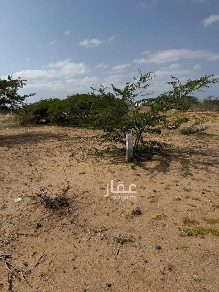 أرض للبيع في شارع الدرة, حي الدرة, مدينة جدة, منطقة مكة المكرمة صورة 5