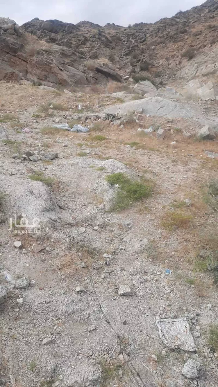 أرض للبيع في شارع عائذ ابن ثعلبة, حي النسيم, مدينة مكة المكرمة, منطقة مكة المكرمة 6