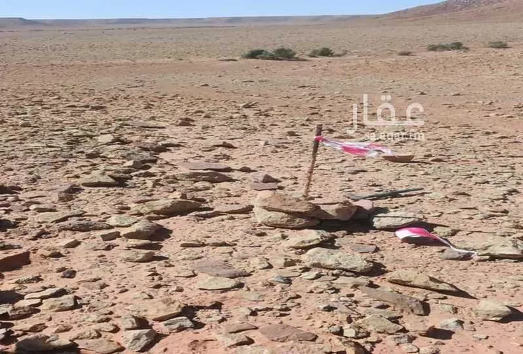 أرض للبيع في شارع وادي الاوعر, مدينة شقراء, منطقة الرياض صورة 2