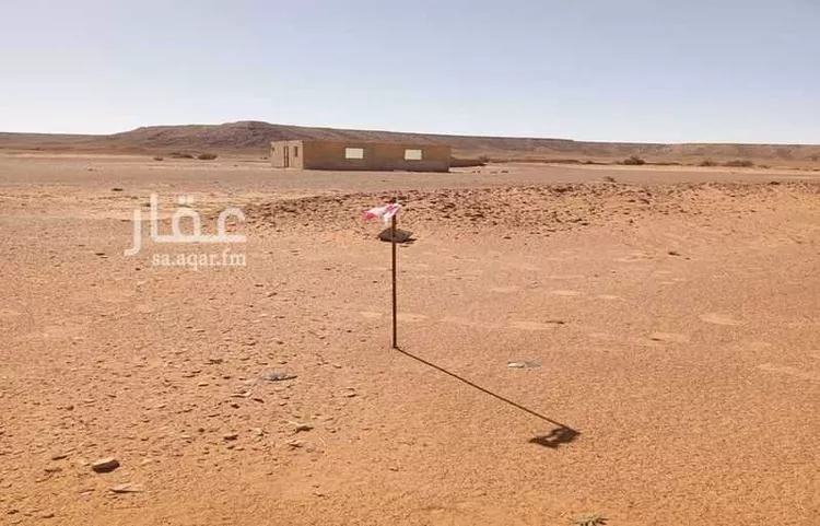 أرض للبيع في شارع وادي الاوعر, مدينة شقراء, منطقة الرياض صورة 3