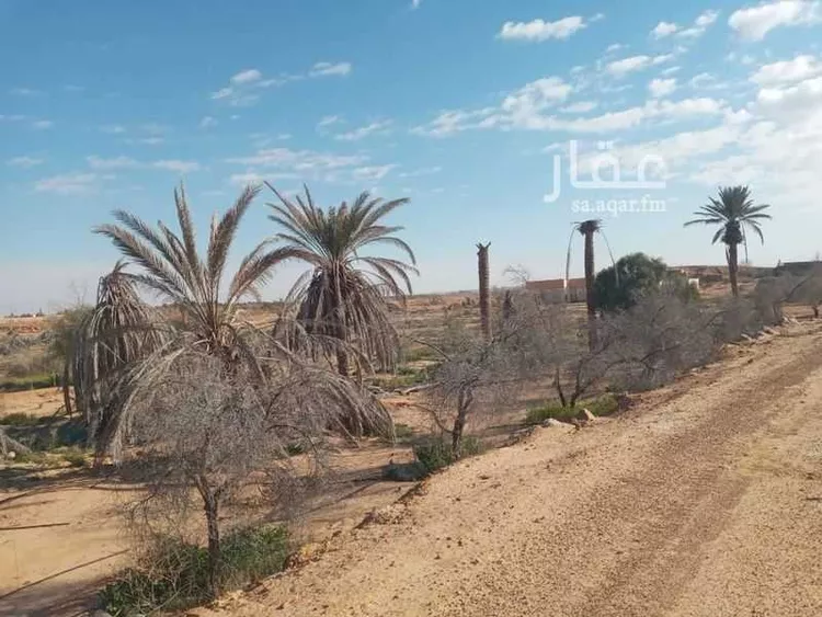 أرض للبيع في شارع سكاكا زلوم, حي زلوم, مدينة زلوم, منطقة الجوف 8