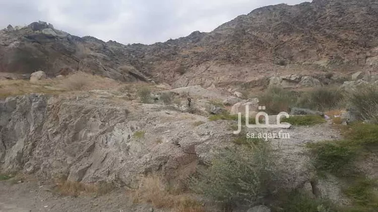أرض للبيع في شارع عائذ ابن ثعلبة, حي النسيم, مدينة مكة المكرمة, منطقة مكة المكرمة صورة 3