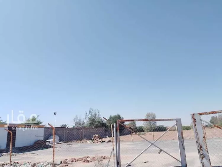 أرض للبيع في شارع تبوك, حي مزارع شمال طريق المدينه(الرابعة), مدينة مزارع شمال طريق المدينه(الرابعة), منطقة تبوك صورة 3