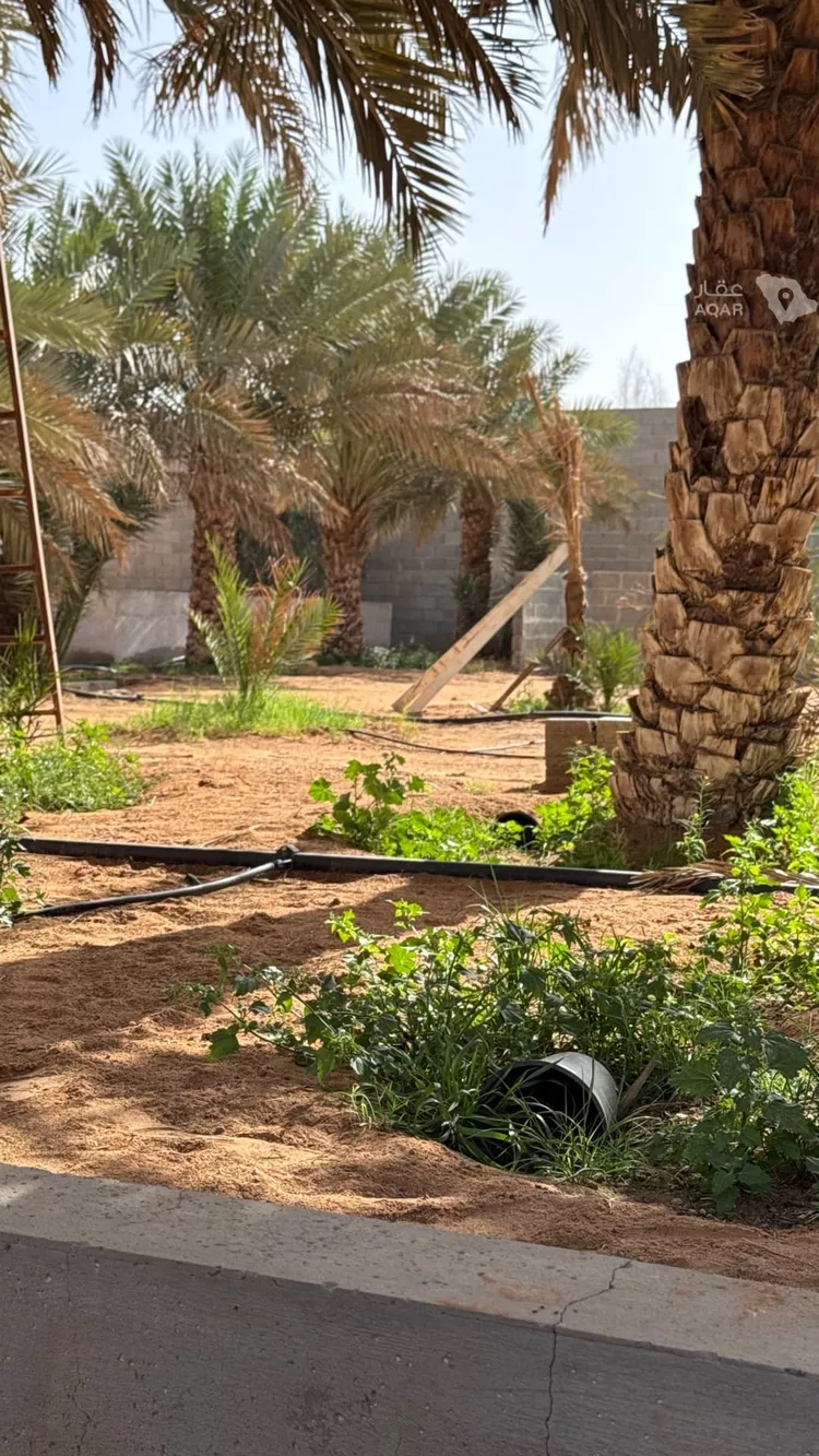 مزرعة للبيع في شارع قريه ديراب 1459 ، ضرما ، ضرما صورة 2