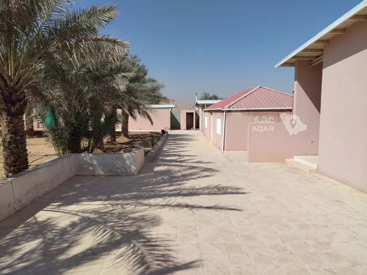 مزرعة للبيع في شارع قريه ديراب 1459 ، ضرما ، ضرما صورة 3
