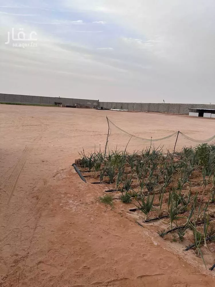 أرض للإيجار في شارع الرفايع 1987, حي الرفايع, مدينة الخرج, منطقة الرياض