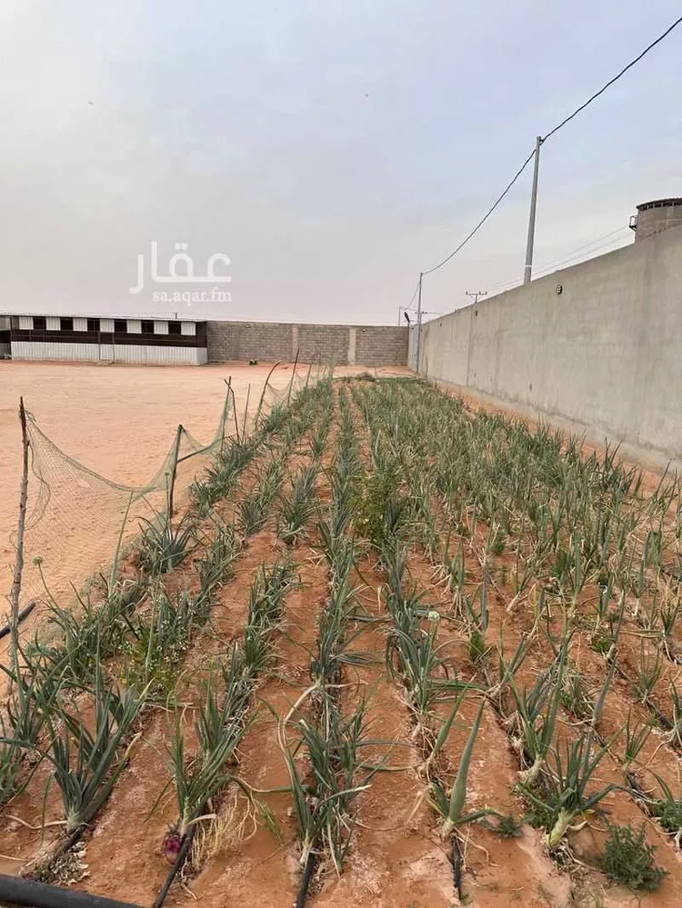 أرض للإيجار في شارع الرفايع 1987, حي الرفايع, مدينة الخرج, منطقة الرياض صورة 3