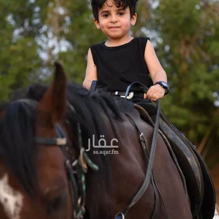 شاليه واستراحة للحجز في شارع فضيلة الشيخ مفتي زاده أحمد ، حي الرحمانية ، جدة ، جدة 6