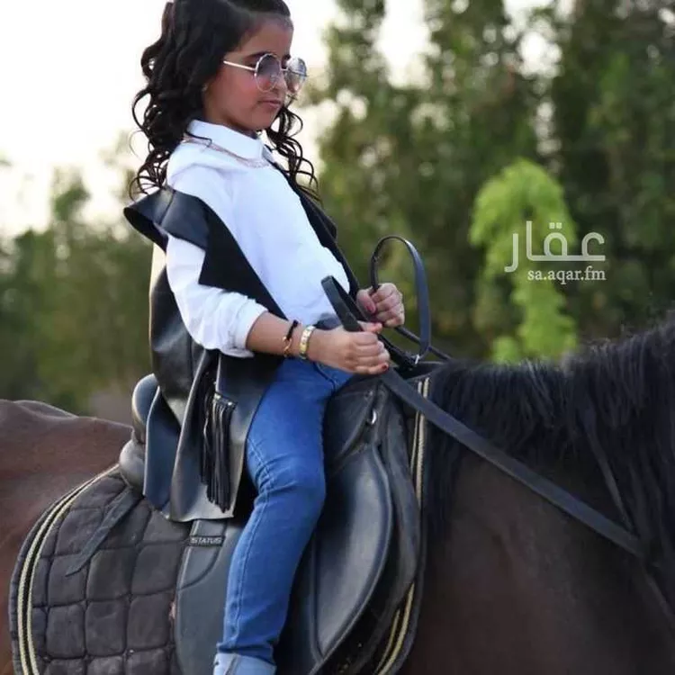 شاليه واستراحة للحجز في شارع فضيلة الشيخ مفتي زاده أحمد ، حي الرحمانية ، جدة ، جدة 7