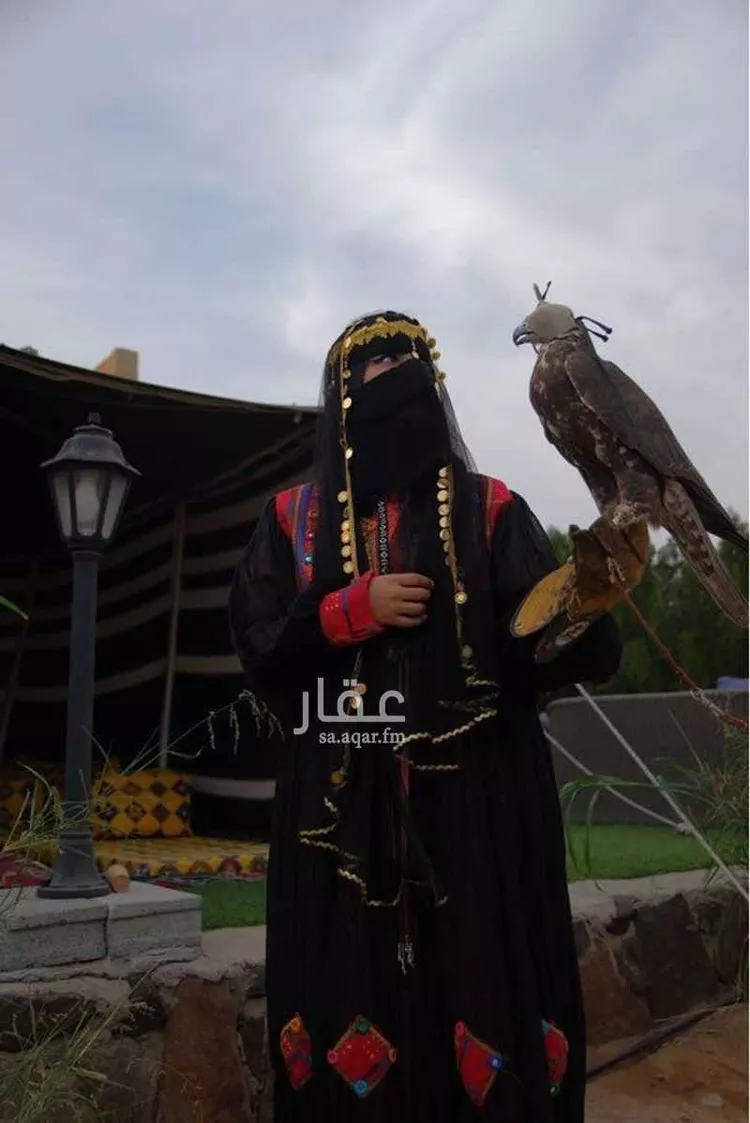 شاليه واستراحة للحجز في شارع فضيلة الشيخ مفتي زاده أحمد ، حي الرحمانية ، جدة ، جدة 14