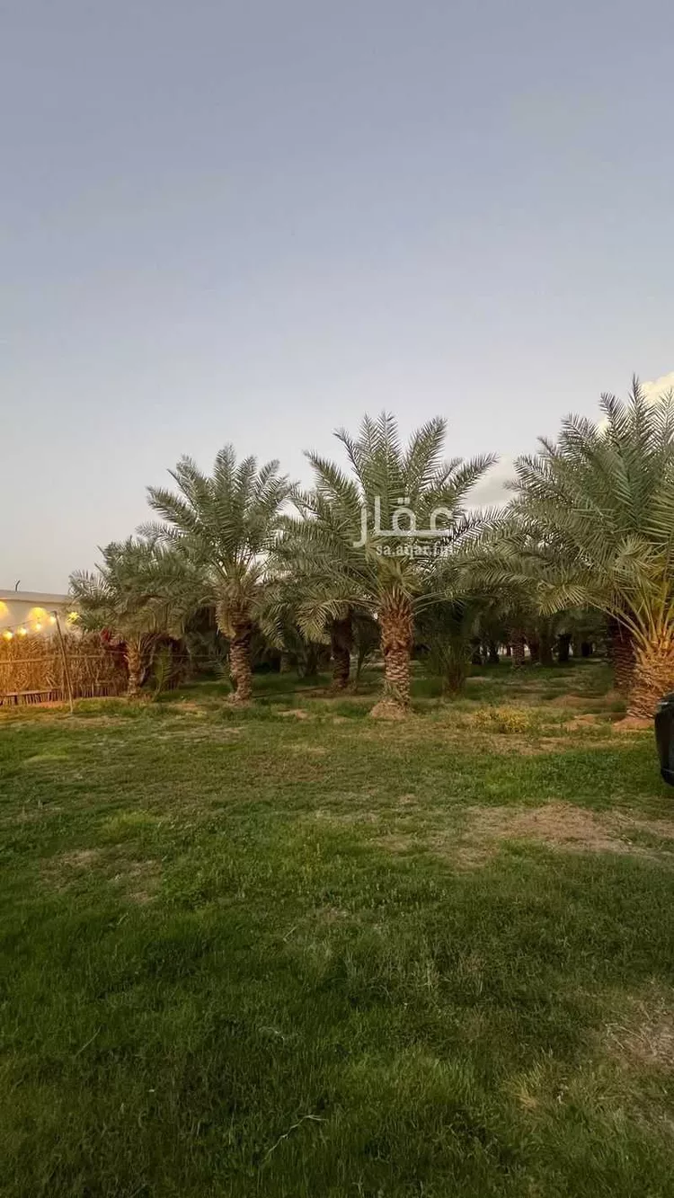 مزرعة للإيجار في شارع الحزم والبطينه 188 ، الدلم ، الدلم صورة 5
