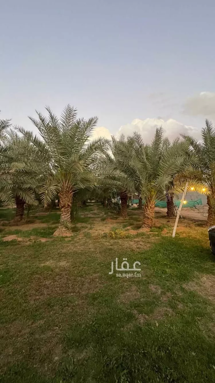 مزرعة للإيجار في شارع الحزم والبطينه 188 ، الدلم ، الدلم صورة 4