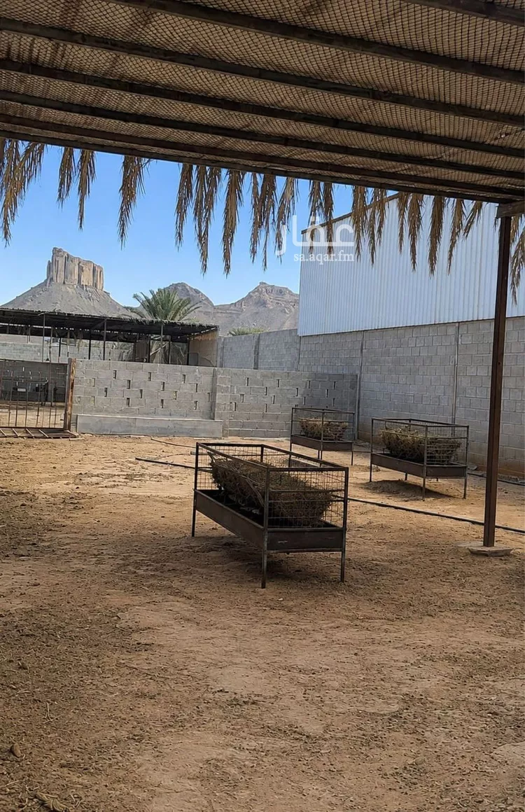 استراحة للبيع في شارع هجرة الاوسط 2735, حي تجمع سكاني الحنية, مدينة تجمع سكاني الحنية, منطقة الرياض 16