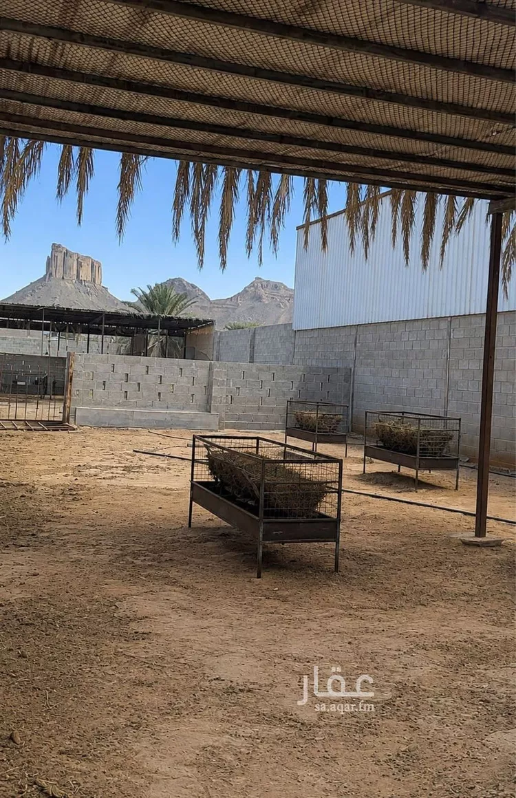 استراحة للبيع في شارع هجرة الاوسط 2735, حي تجمع سكاني الحنية, مدينة تجمع سكاني الحنية, منطقة الرياض 25