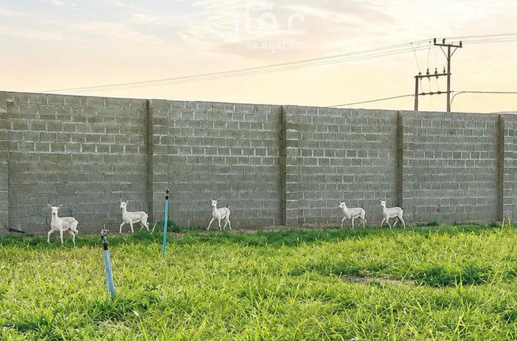 أرض للبيع في شارع هجرة الاوسط 2735, حي تجمع سكاني الحنية, مدينة تجمع سكاني الحنية, منطقة الرياض صورة 3