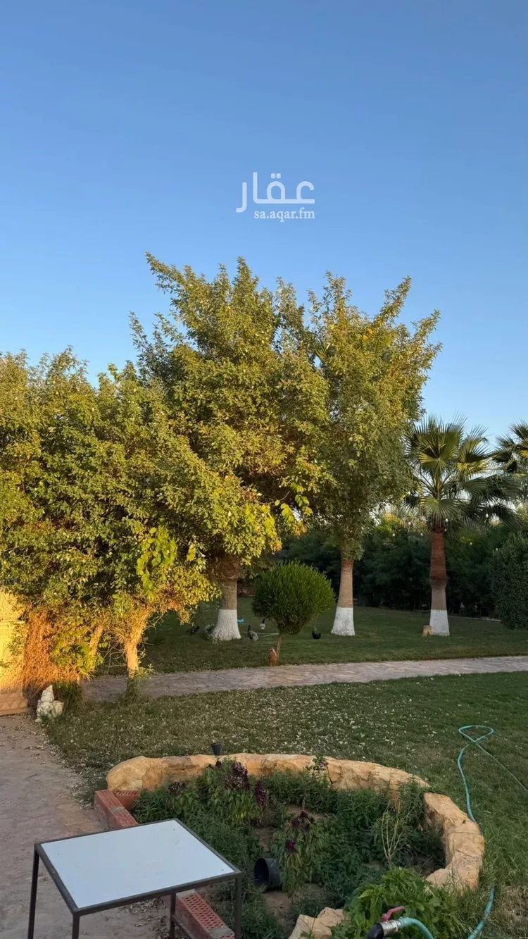 مزرعة للبيع في حي مزارع الجله, مدينة الجلة, منطقة الرياض صورة 4