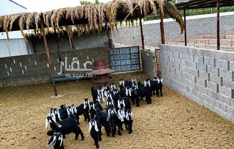استراحة للبيع في شارع هجرة الاوسط 2735, حي تجمع سكاني الحنية, مدينة تجمع سكاني الحنية, منطقة الرياض 7