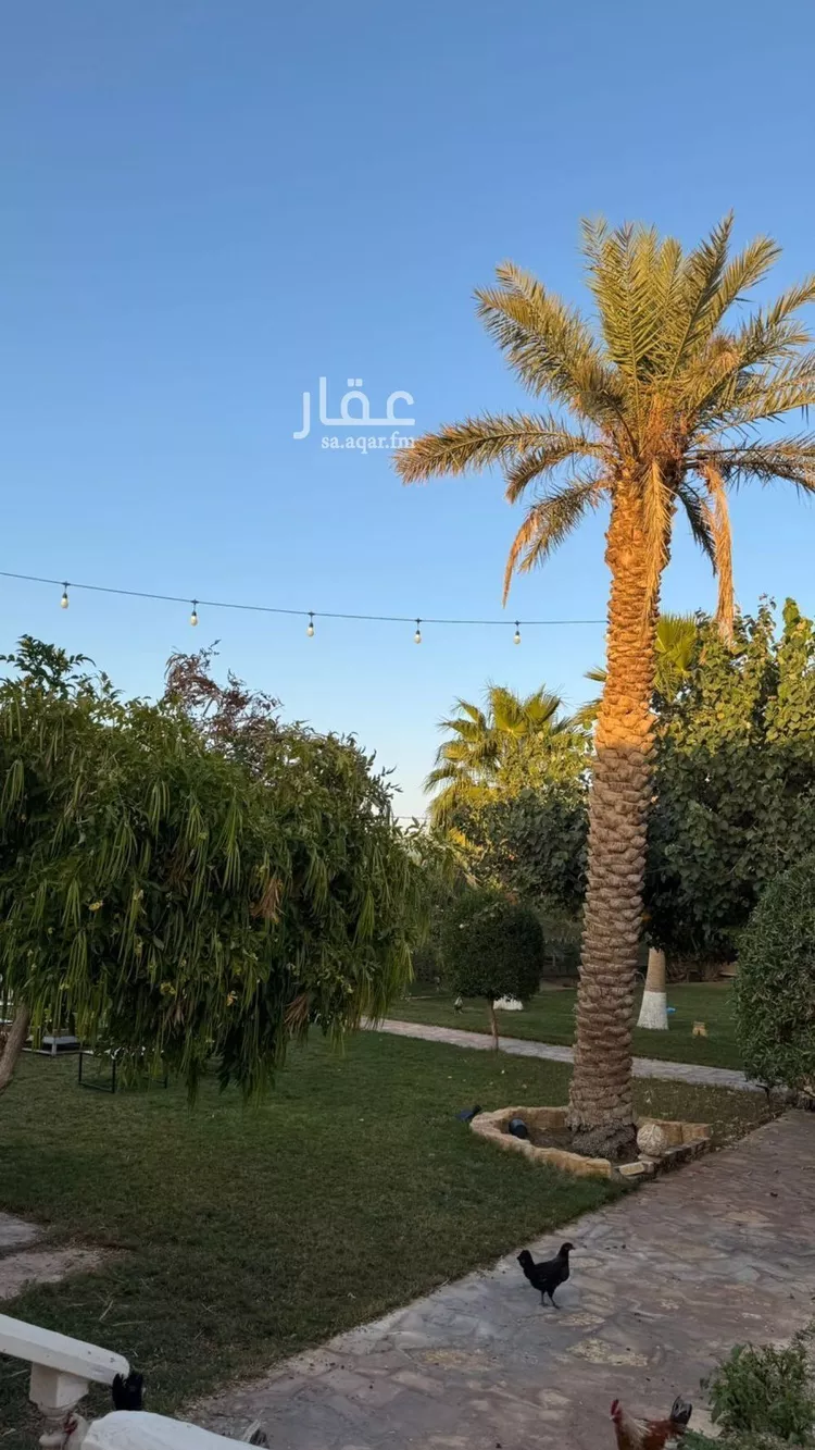 Farm for Sale in Al Muzahimiyah Al GhatGhat