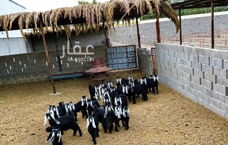 استراحة للبيع في شارع هجرة الاوسط 2735, حي تجمع سكاني الحنية, مدينة تجمع سكاني الحنية, منطقة الرياض 24