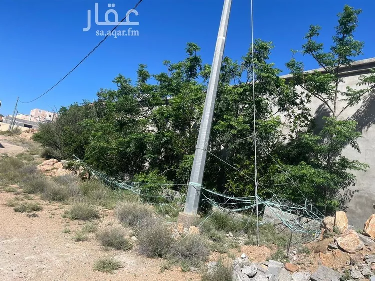 أرض للبيع في شارع السر 80, حي السر, مدينة امارة منطقة مكة المكرمة - الطائف, منطقة مكة المكرمة صورة 4