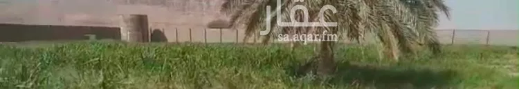 استراحة للبيع في شارع هجرة الاوسط 2735, حي تجمع سكاني الحنية, مدينة تجمع سكاني الحنية, منطقة الرياض صورة 2