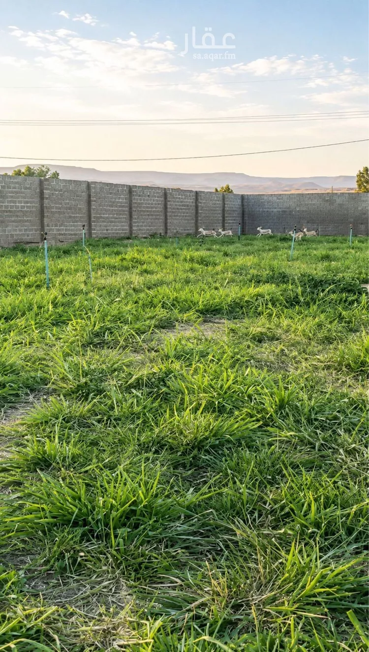 استراحة للبيع في شارع هجرة الاوسط 2735, حي تجمع سكاني الحنية, مدينة تجمع سكاني الحنية, منطقة الرياض 13