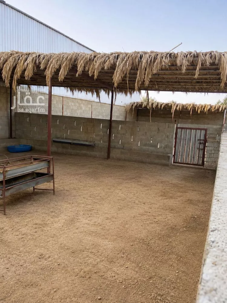 أرض للبيع في شارع هجرة الاوسط 2735, حي تجمع سكاني الحنية, مدينة تجمع سكاني الحنية, منطقة الرياض صورة 5