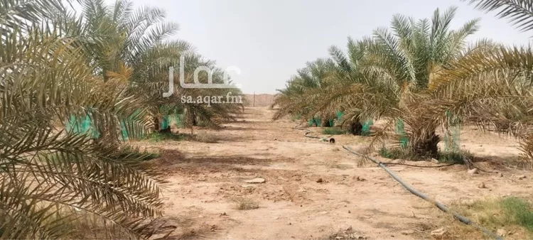 مزرعة للبيع في حي مزرعه بن علي والدواجن وماحولها, مدينة مزرعه بن علي والدواجن وماحولها, منطقة الرياض