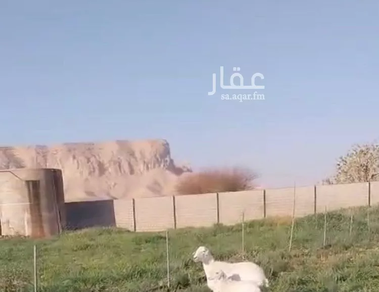 استراحة للبيع في شارع هجرة الاوسط 2735, حي تجمع سكاني الحنية, مدينة تجمع سكاني الحنية, منطقة الرياض صورة 5