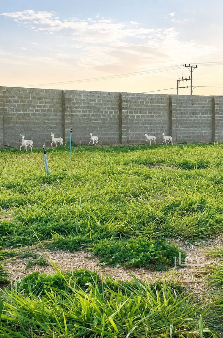 استراحة للبيع في شارع هجرة الاوسط 2735, حي تجمع سكاني الحنية, مدينة تجمع سكاني الحنية, منطقة الرياض صورة 5