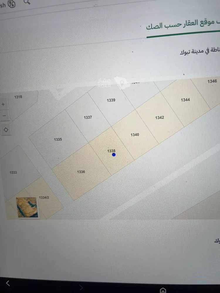 Land for Sale in Tabuk Ar Rawdah صورة 3