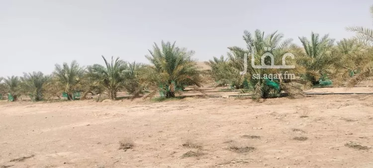 مزرعة للبيع في حي مزرعه بن علي والدواجن وماحولها, مدينة مزرعه بن علي والدواجن وماحولها, منطقة الرياض صورة 5