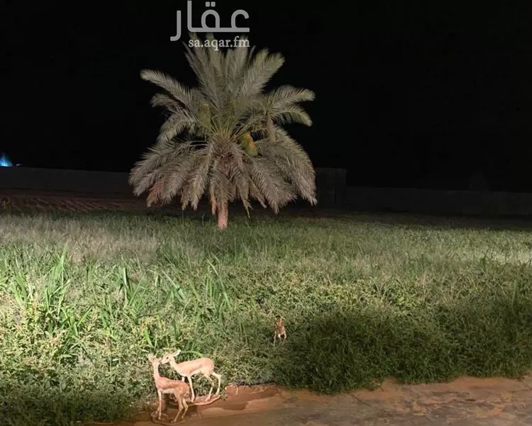 Rest House for Sale in Al Muzahimiyah Al Ulaya