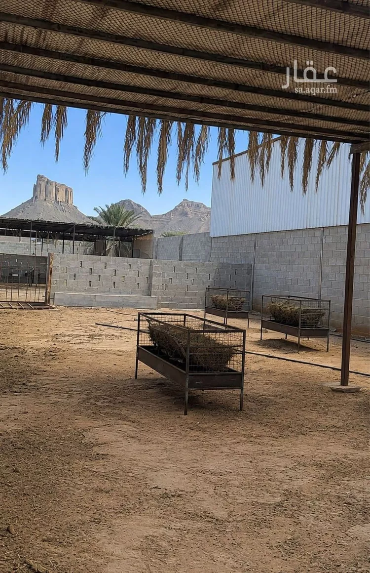 استراحة للبيع في شارع هجرة الاوسط 2735, حي تجمع سكاني الحنية, مدينة تجمع سكاني الحنية, منطقة الرياض 8