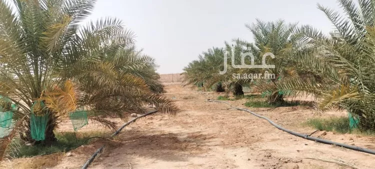 مزرعة للبيع في حي مزرعه بن علي والدواجن وماحولها, مدينة مزرعه بن علي والدواجن وماحولها, منطقة الرياض صورة 4