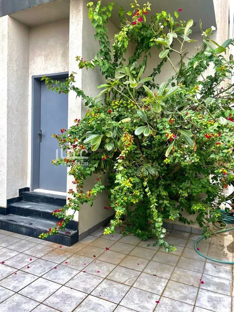 فيلا للإيجار في شارع البرج, حي الياسمين, مدينة الرياض, منطقة الرياض صورة 2