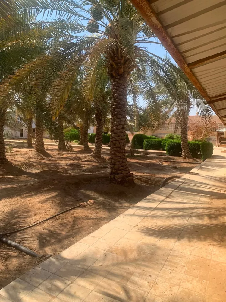مزرعة للبيع في شارع جو 478, مدينة ضرما, منطقة الرياض 4