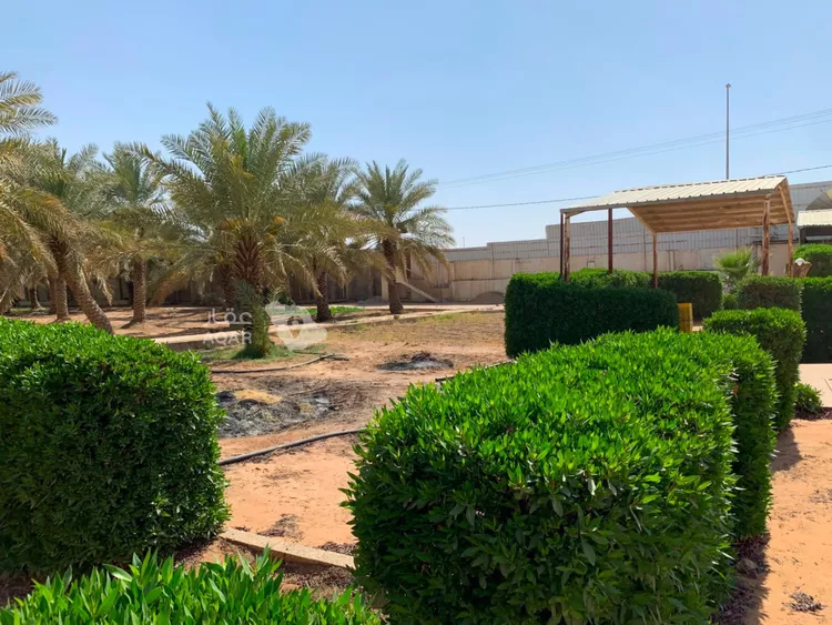 مزرعة للبيع في شارع جو 478, مدينة ضرما, منطقة الرياض 29