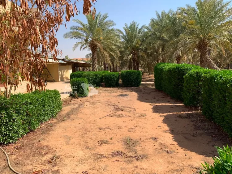 مزرعة للبيع في شارع جو 478, مدينة ضرما, منطقة الرياض 13