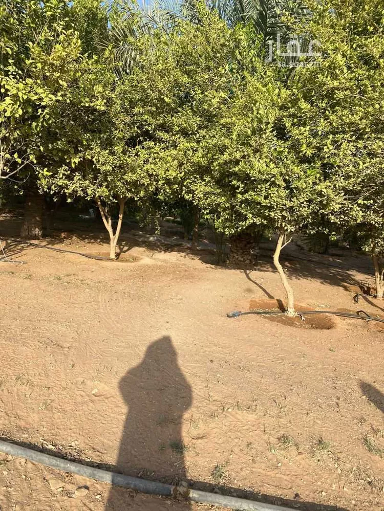 مزرعة للبيع في شارع جعفر بن ربيعه, حي مشرف, مدينة الخرج, منطقة الرياض صورة 2