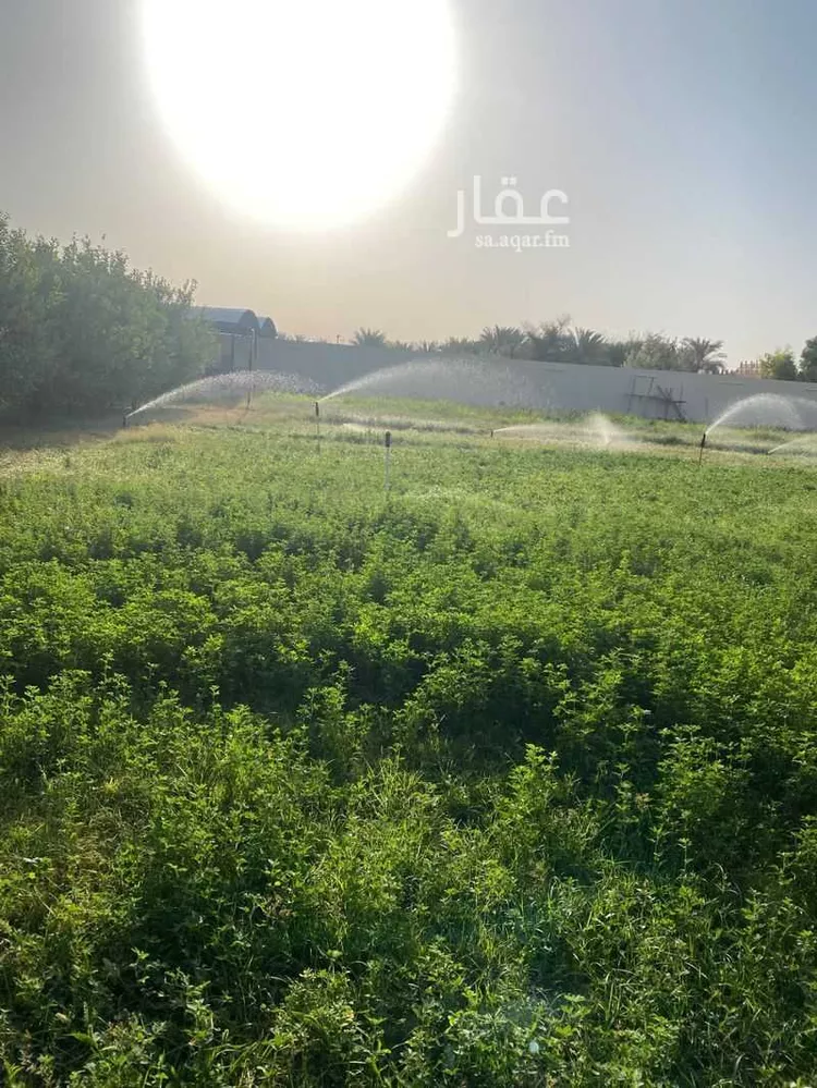 مزرعة للبيع في شارع جعفر بن ربيعه, حي مشرف, مدينة الخرج, منطقة الرياض 6