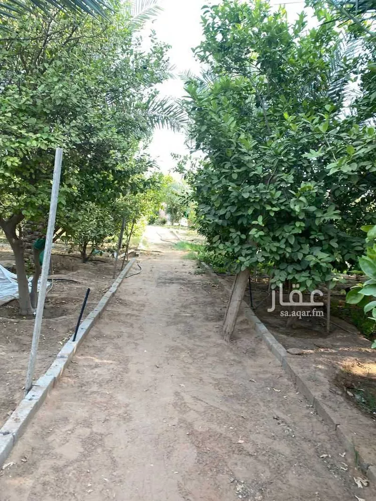 مزرعة للبيع في شارع جعفر بن ربيعه, حي مشرف, مدينة الخرج, منطقة الرياض صورة 5