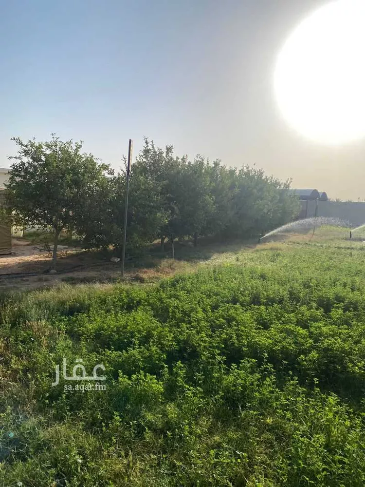مزرعة للبيع في شارع جعفر بن ربيعه, حي مشرف, مدينة الخرج, منطقة الرياض 7